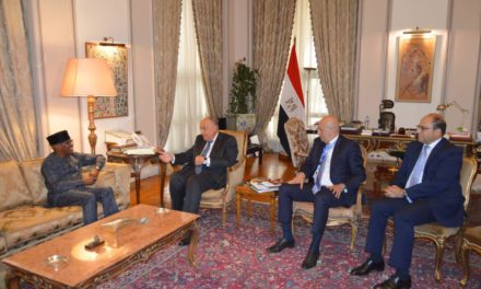 Egypt and African Union Commissioner Collaborate on Peacebuilding Initiatives