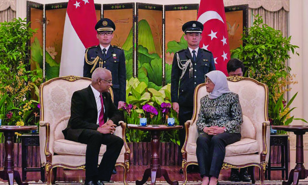 MALDIVES AND SINGAPORE VITAL DEVELOPMENT PARTNERS