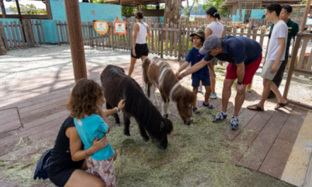 Brand New KidzWorld Opens in Singapore Zoo, Home of ‘The Ranger Buddies’