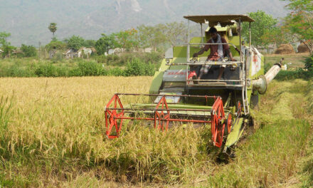 WEF: India’s AgriStack Can Signal Start of Agritech Revolution