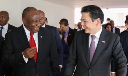 Singapore and South Africa Strengthen Ties at the G20 Summit